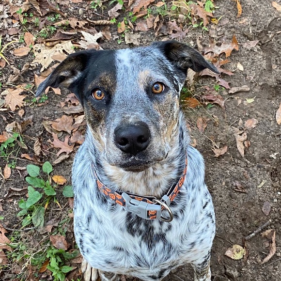 Meet your Posher, Linda - Picture 1 of 1